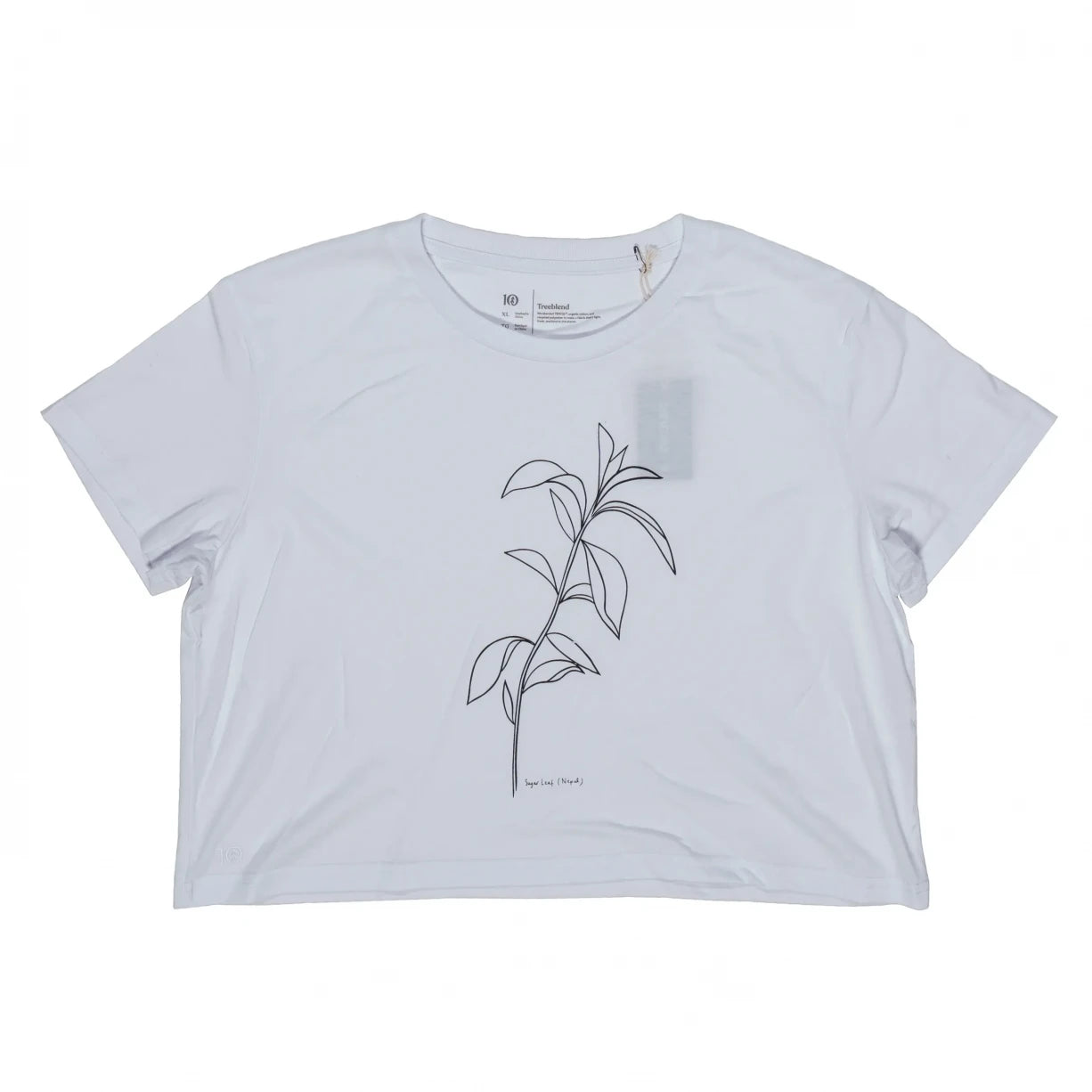 Tentree Sugar Leaf Oversized T-Shirt - Women's-- Collared T-Shirt Boat Neck A-Line