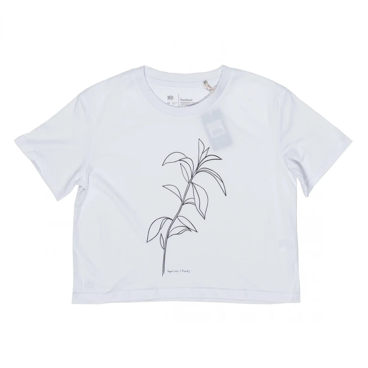 Tentree Sugar Leaf Oversized T-Shirt - Women's-- Thin T-Shirt Open Front Quick Dry