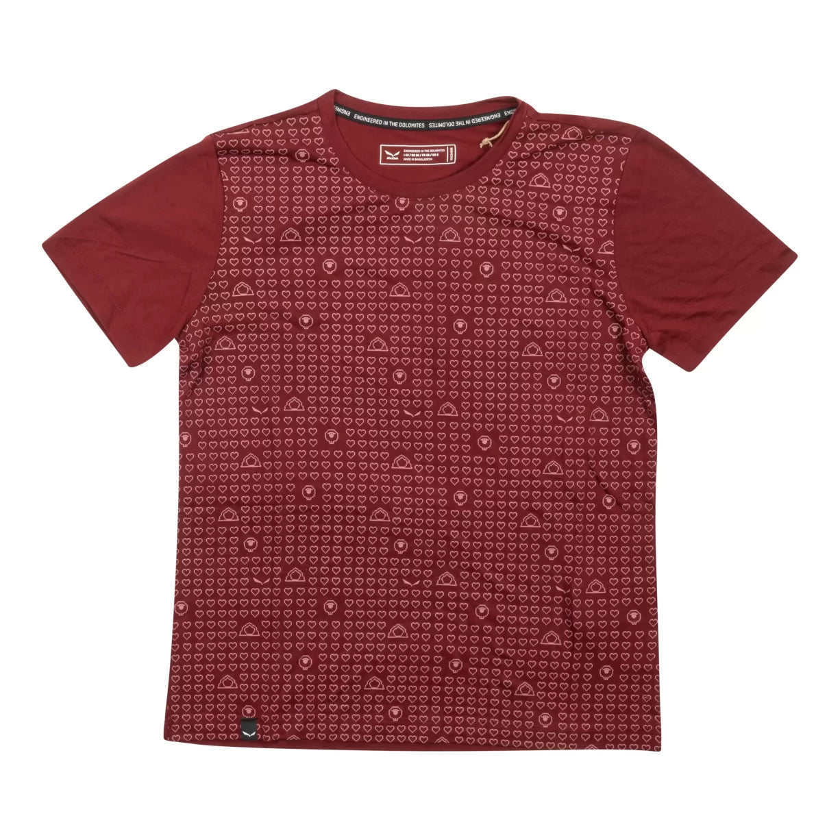 Salewa Eagle Sheep Camp Dry T-Shirt - Women's-- Casual Formal Business