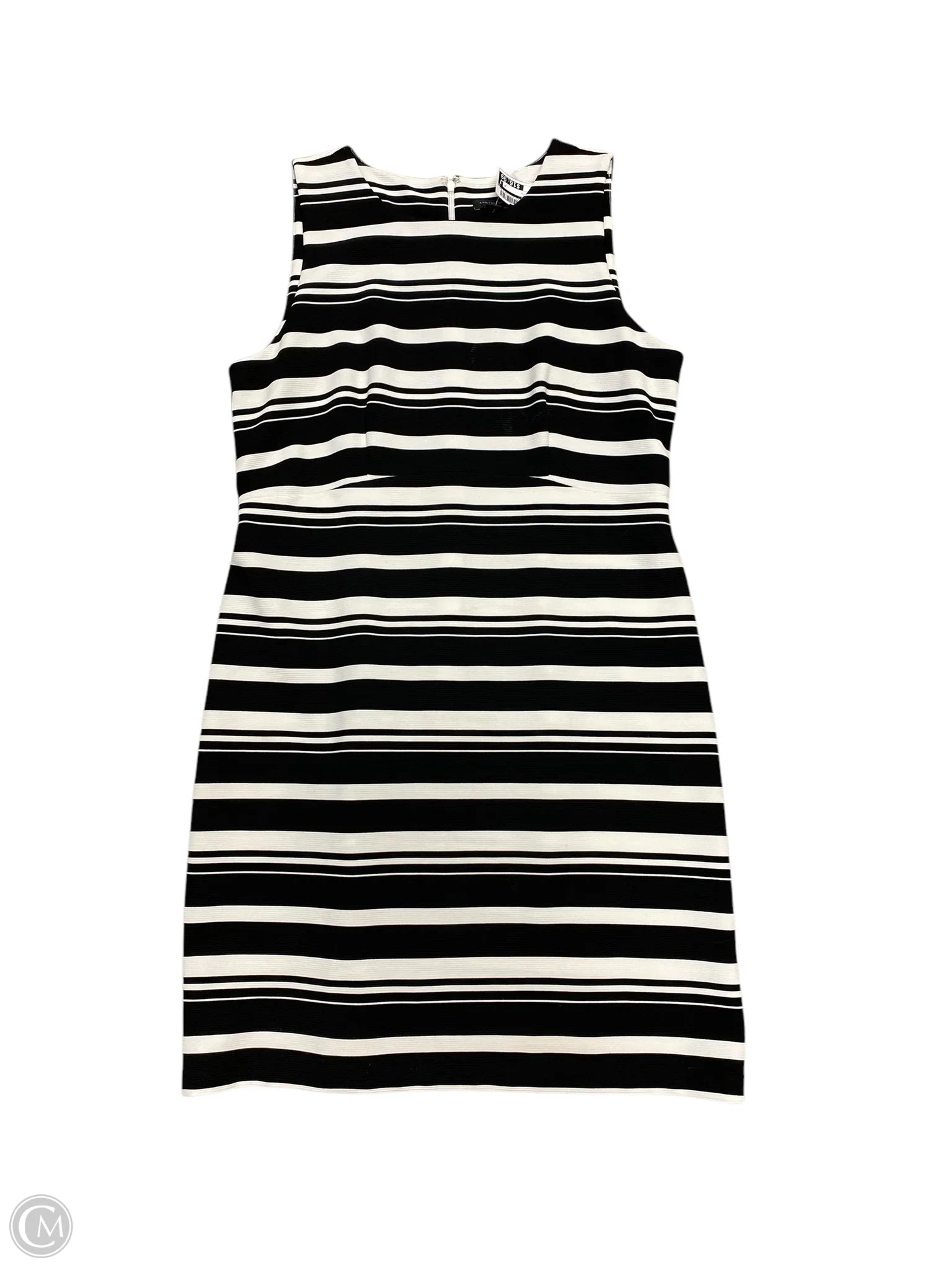 Dress Work By Ann Taylor In Black & White, Size: 14 Tunics Short Trendy