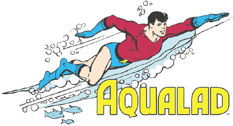 DC Comics Aqualad - Pullover Hoodie Sheath Sleeve Elegant